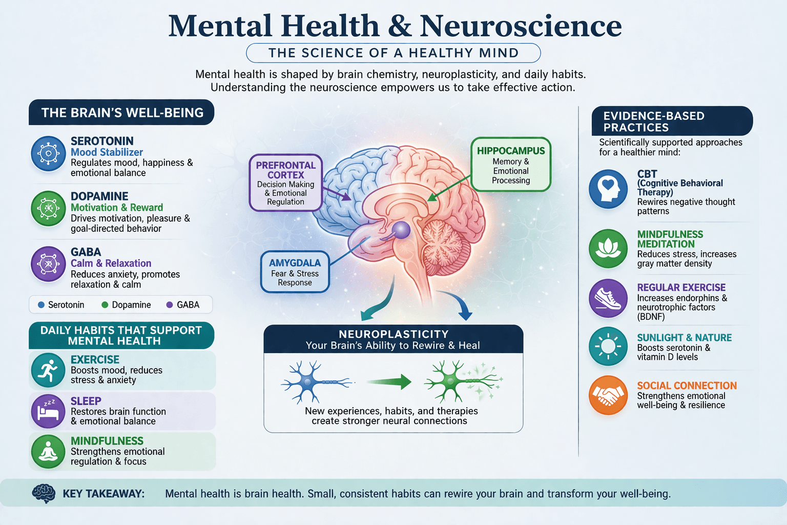 Mental health neuroscience 2026: Depression involves prefrontal cortex hypoactivity, amygdala hyperactivity, and default mode network hyperconnectivity—targets for TMS, psychedelics, and CBT.