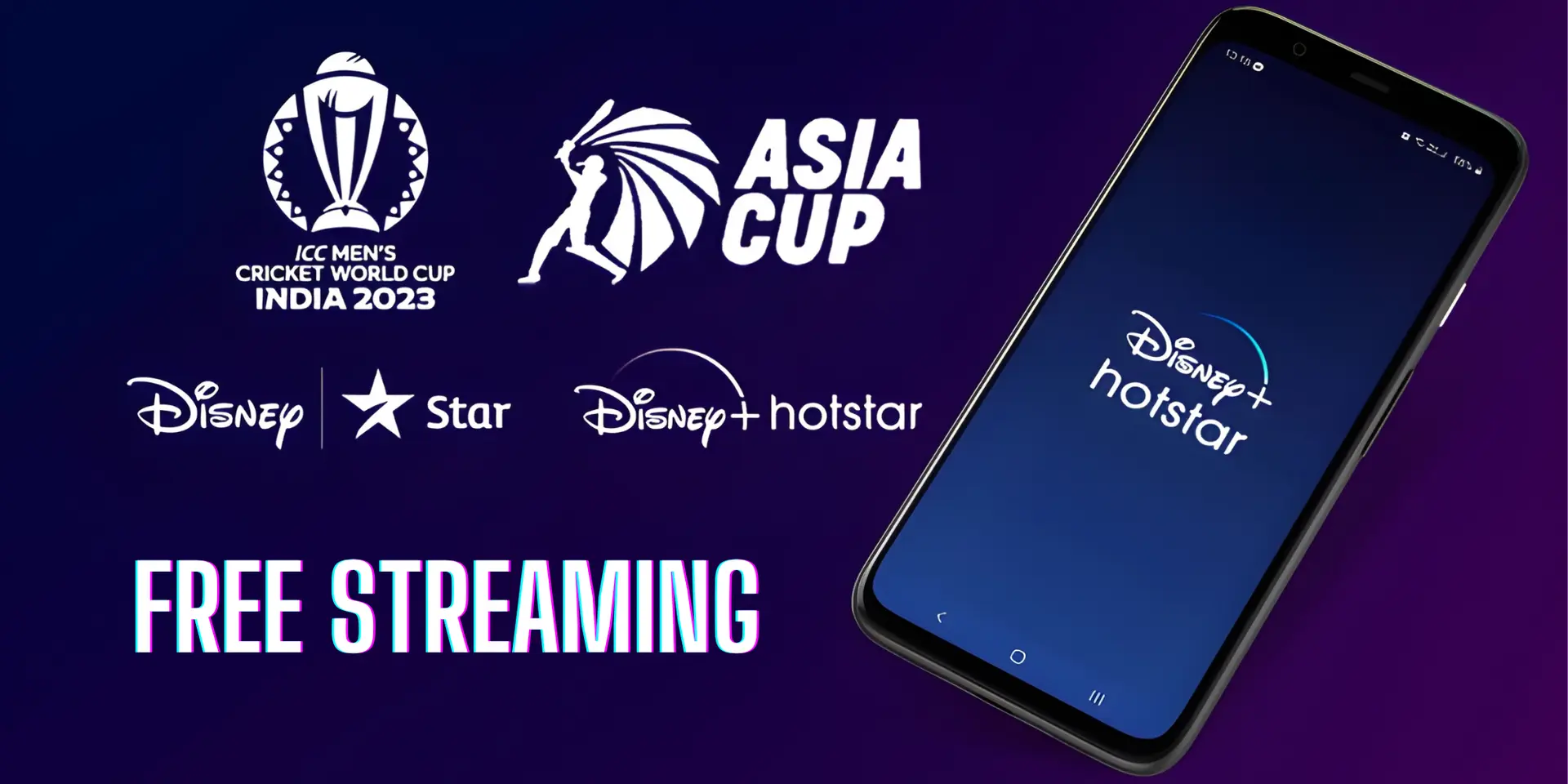Global streaming platform distribution: Netflix and Disney+ dominate developed markets; regional platforms lead in Asia and emerging markets